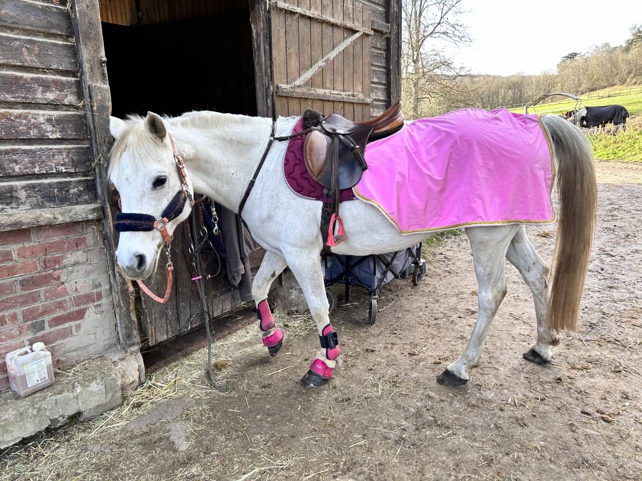 &Agrave; vendre Unit&eacute; des Sillery