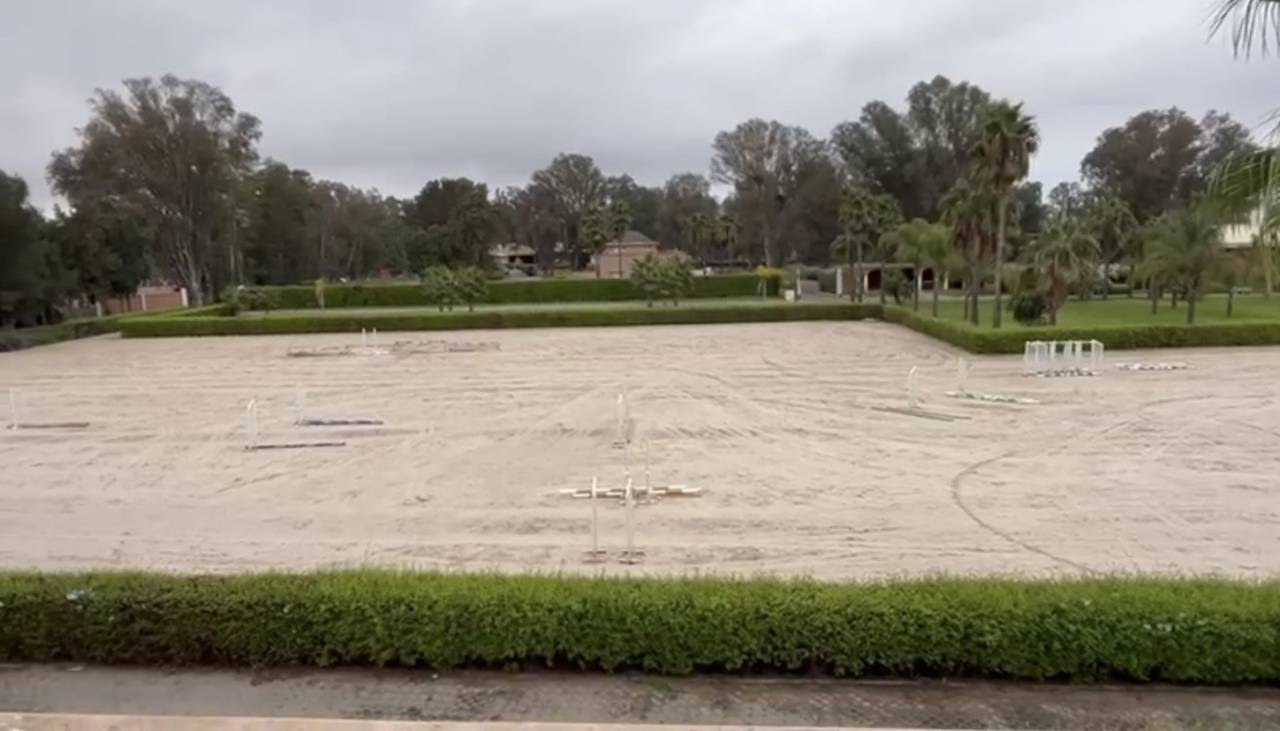 Cavali&egrave;re /Assistante d'entraineur &ndash; Maroc