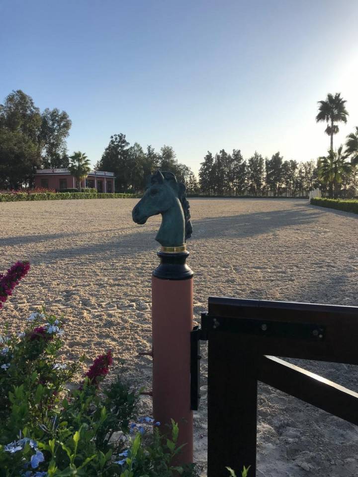 Cavali&egrave;re /Assistante d'entraineur &ndash; Maroc