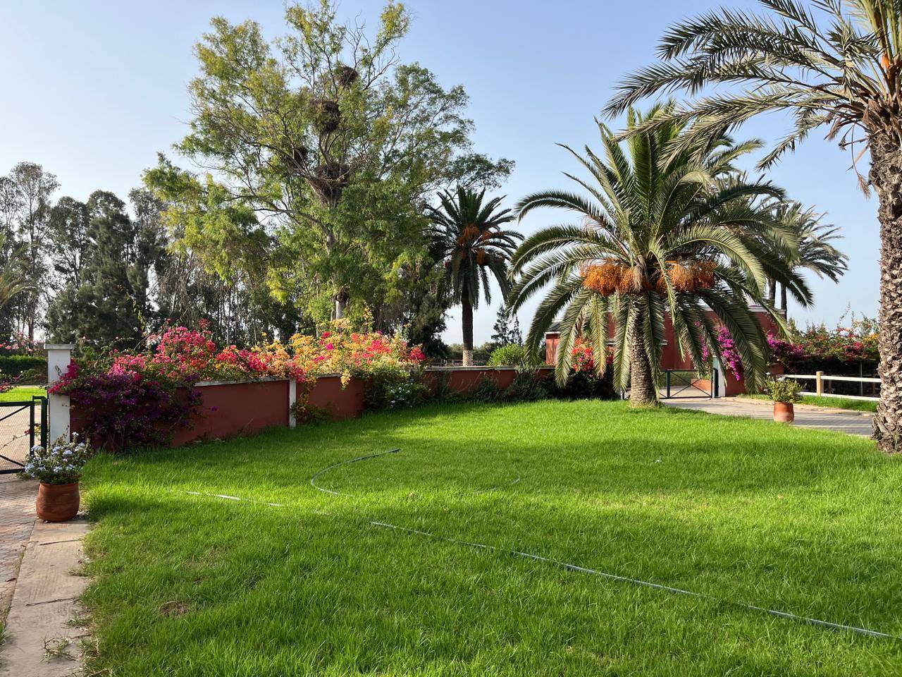 Cavali&egrave;re /Assistante d'entraineur &ndash; Maroc