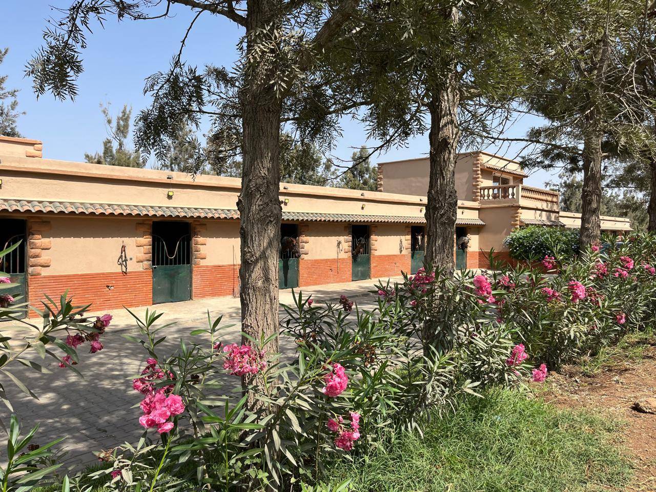 Cavali&egrave;re /Assistante d'entraineur &ndash; Maroc