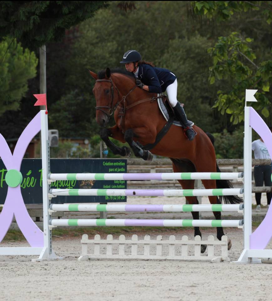 Hongre 9 ans amateur 