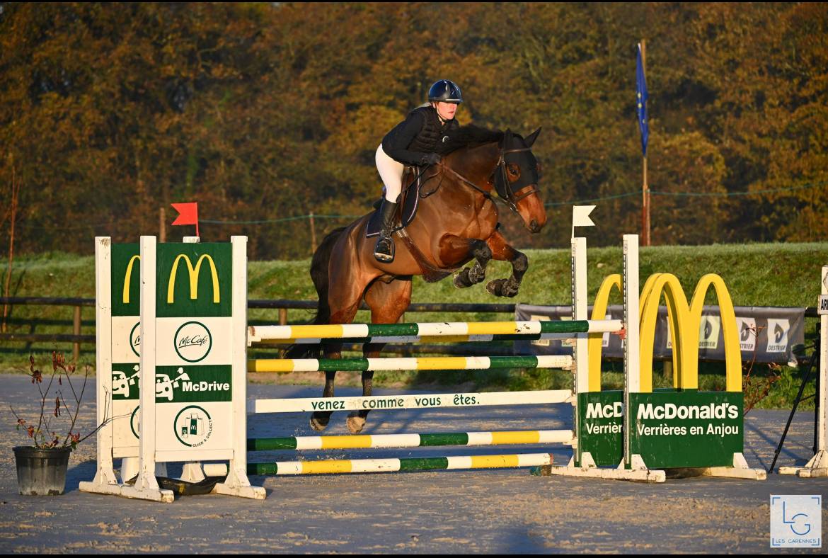 Hongre 9 ans amateur 