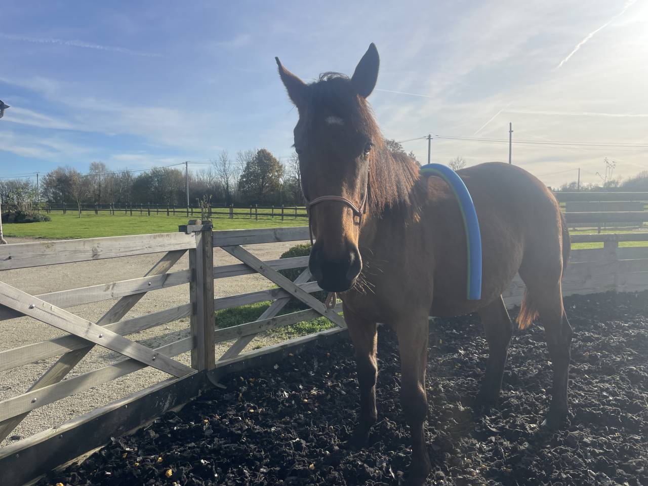 AQPS d&eacute;clar&eacute; ONC