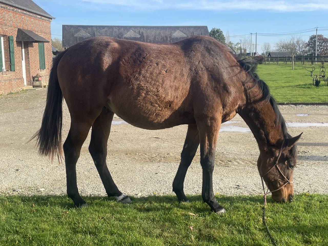 AQPS d&eacute;clar&eacute; ONC