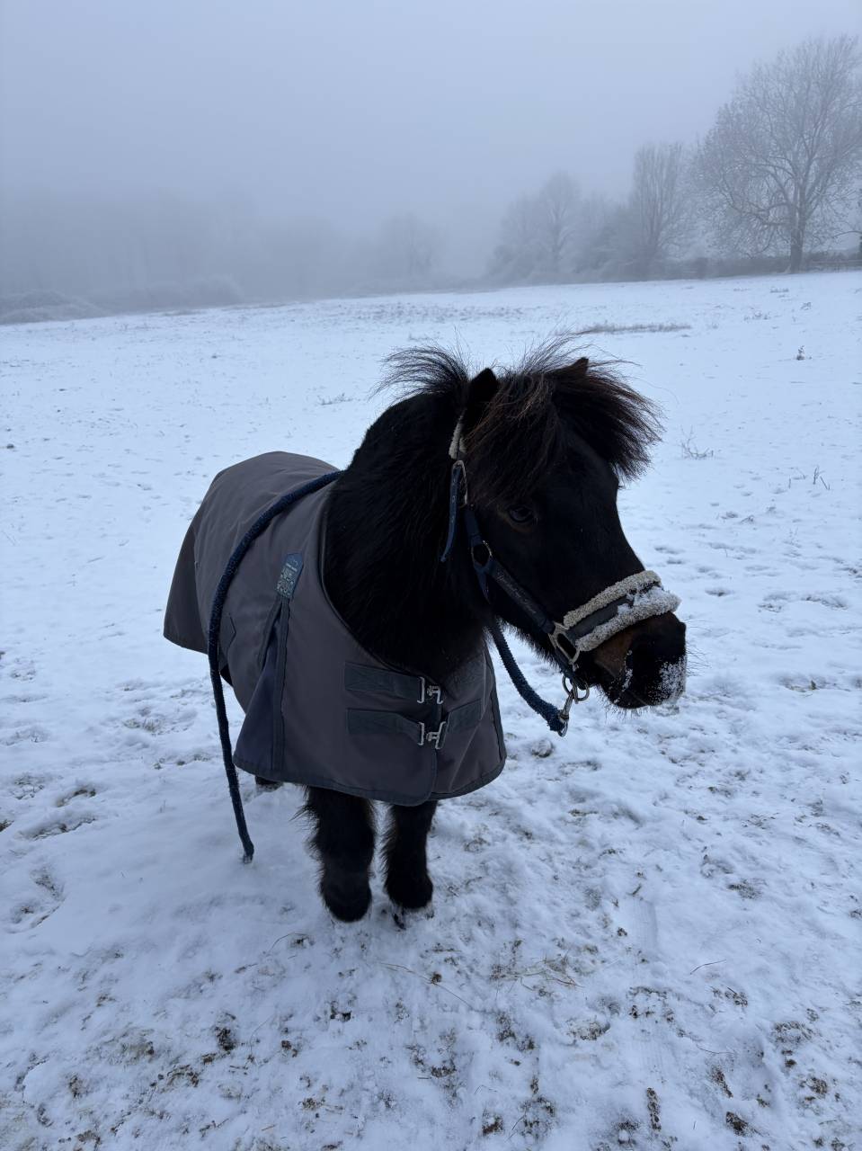 pr&eacute; &agrave; louer 