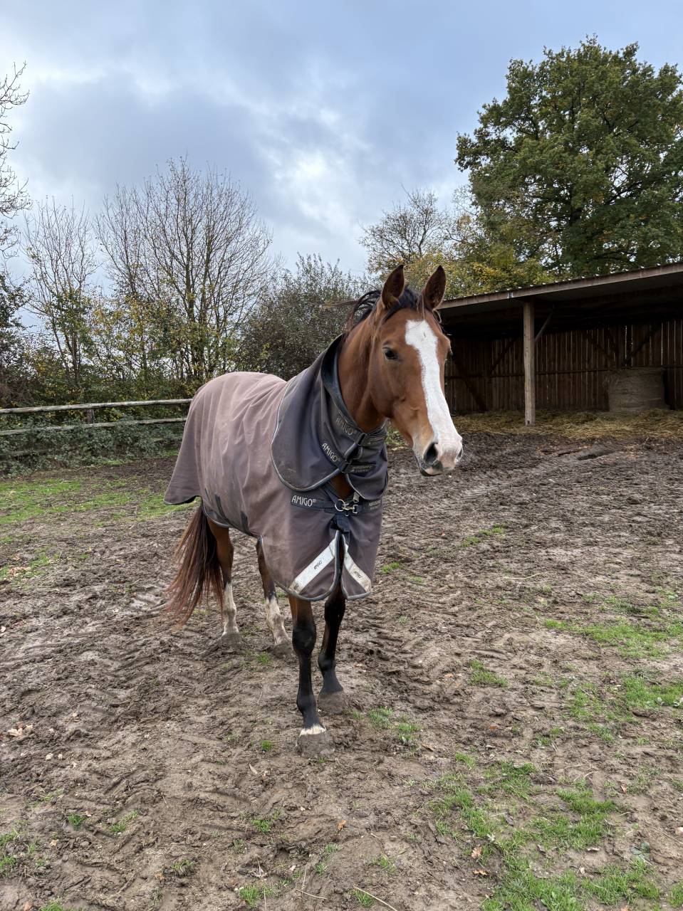 Poulini&egrave;re pleine 