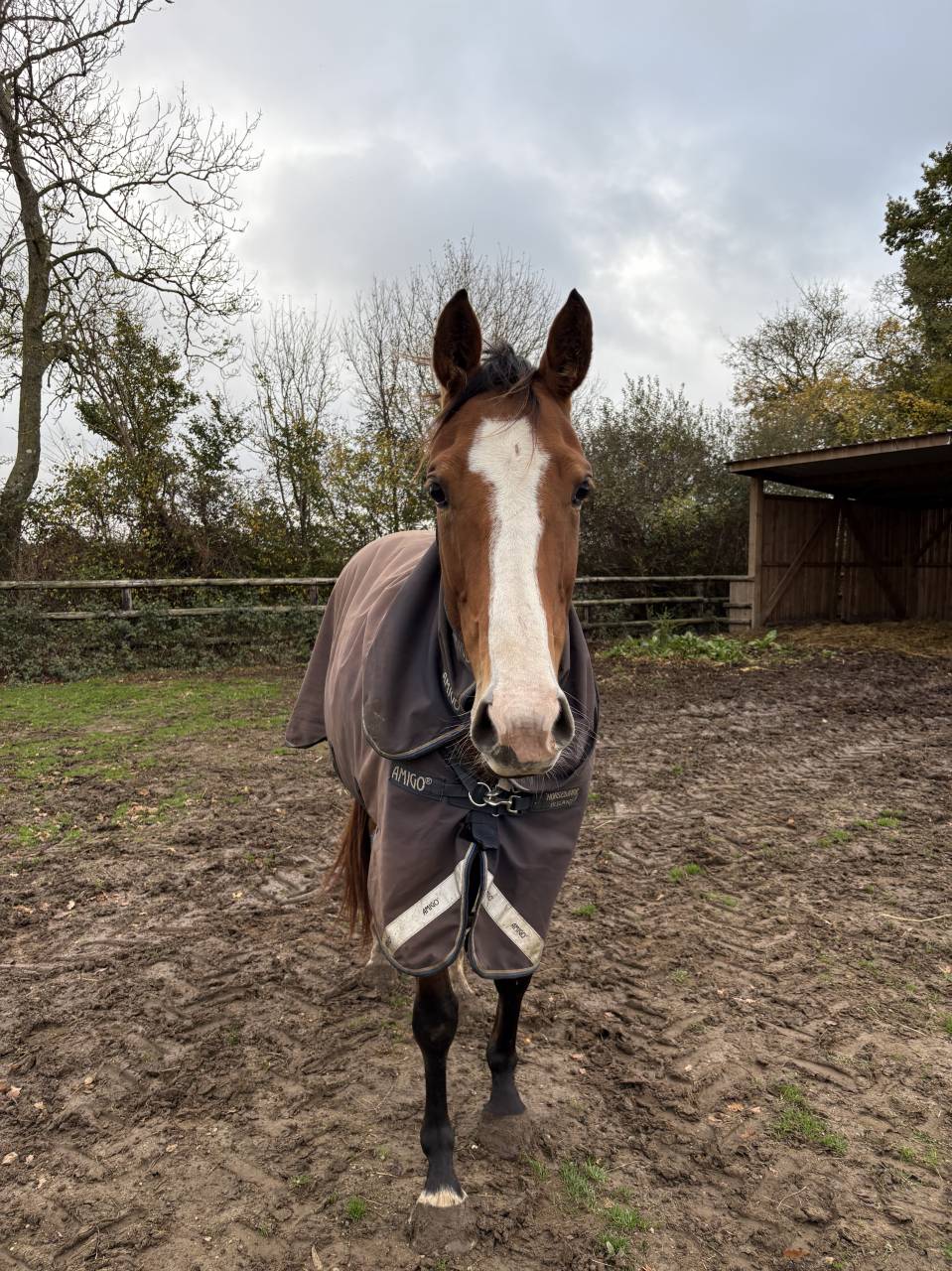 Poulini&egrave;re pleine 