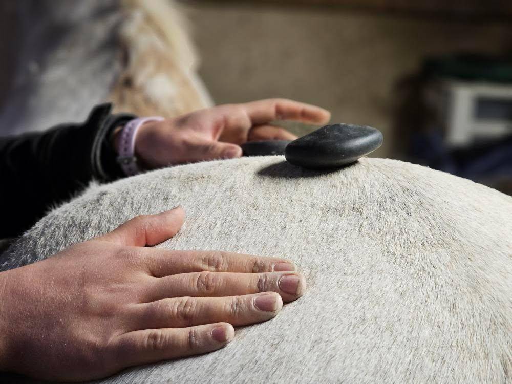 Massage &eacute;quin