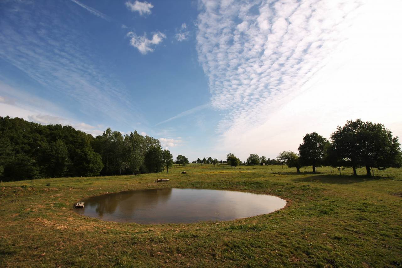 pension sud de nantes, Vallet