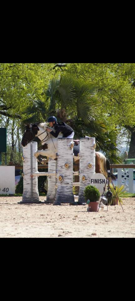 A vendre Petit cheval 11 ans OC