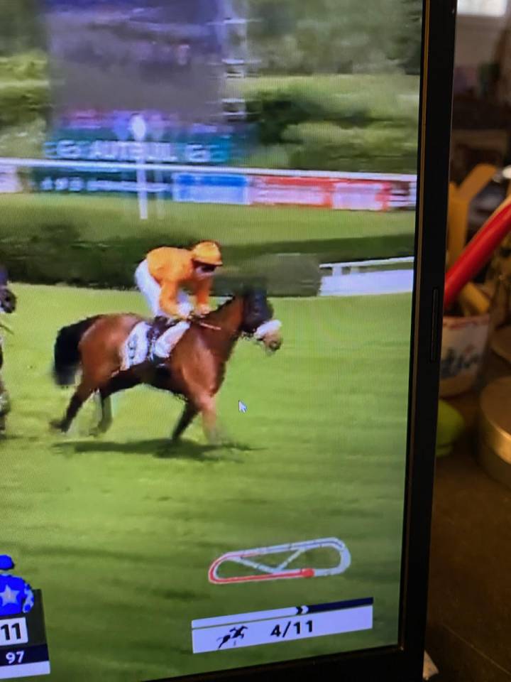 Belle jument de 6 ans pur sang