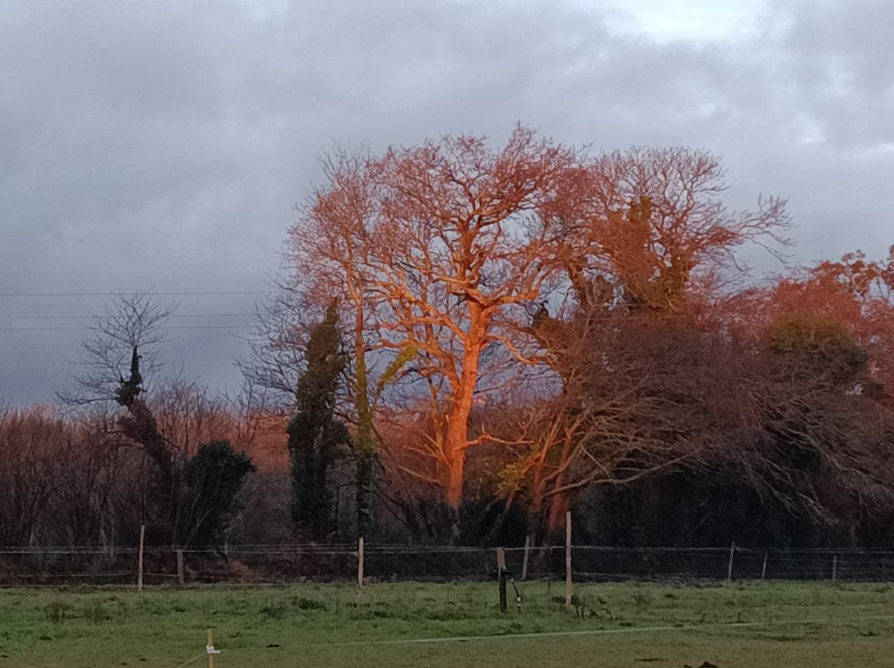 pension chevaux -le bien &ecirc;tre avant tout 