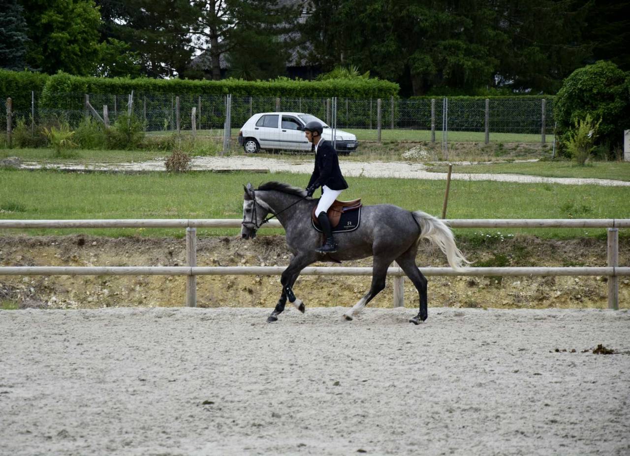Katia jument 5 ans de C.S.O - Finaliste Fontainebleau