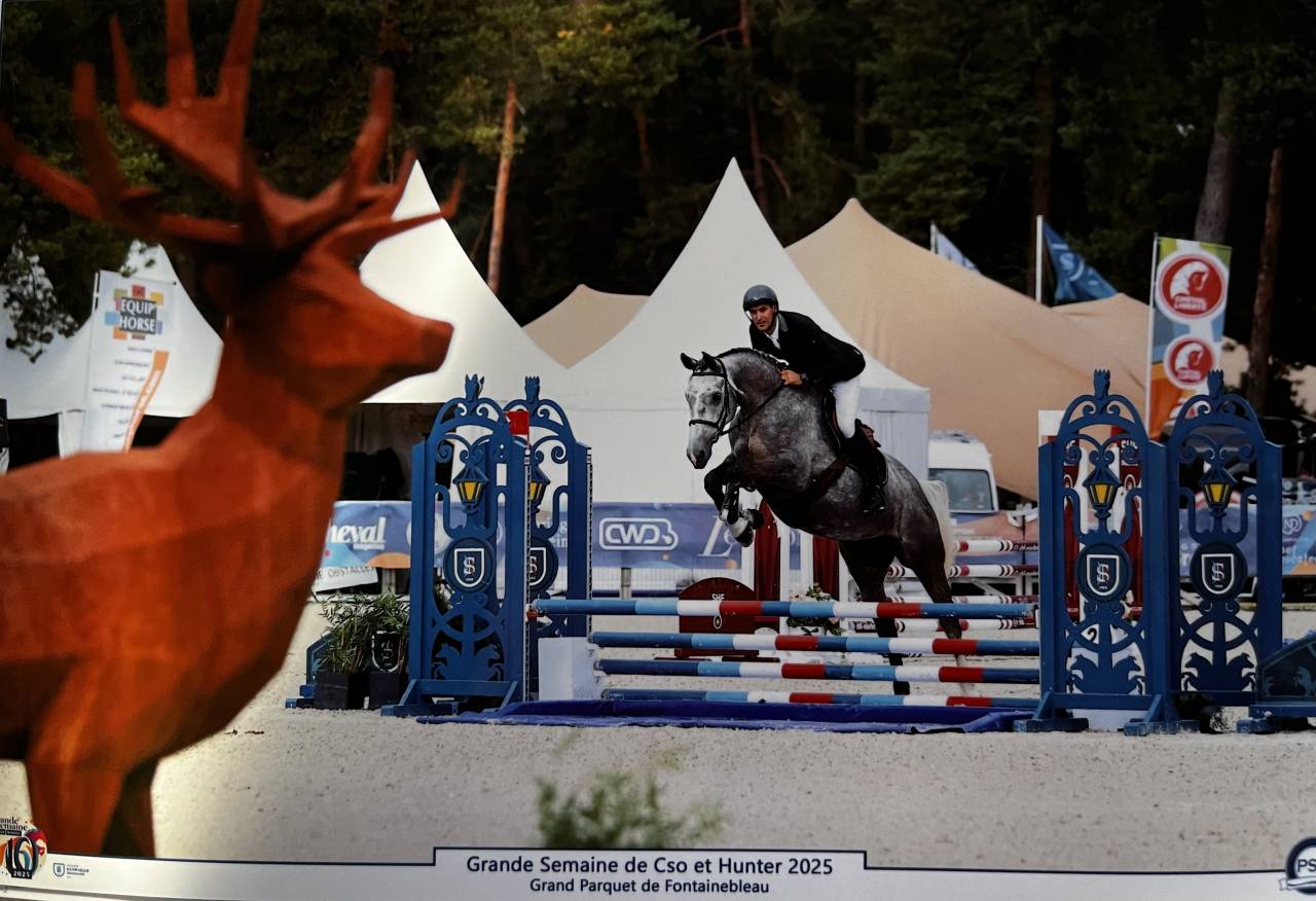 Katia jument 5 ans de C.S.O - Finaliste Fontainebleau