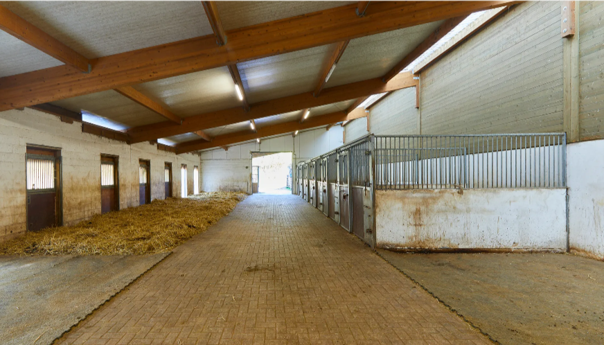 Domaine &eacute;questre au Luxembourg