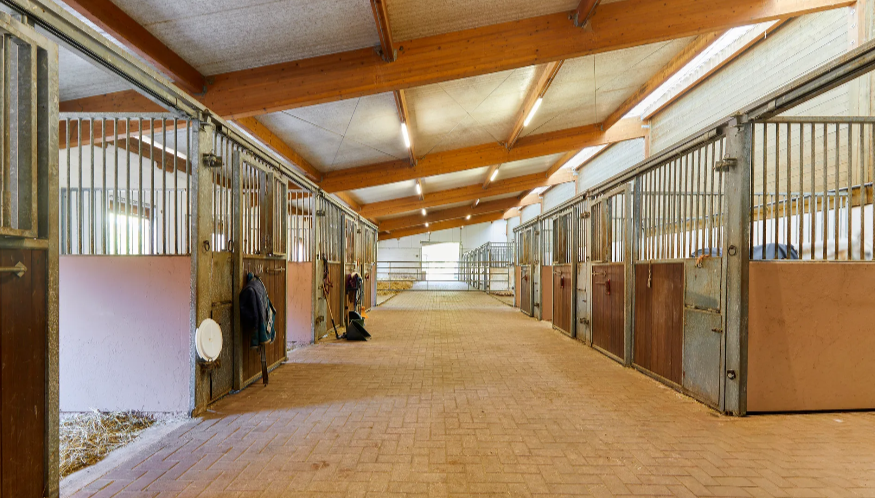 Domaine &eacute;questre au Luxembourg