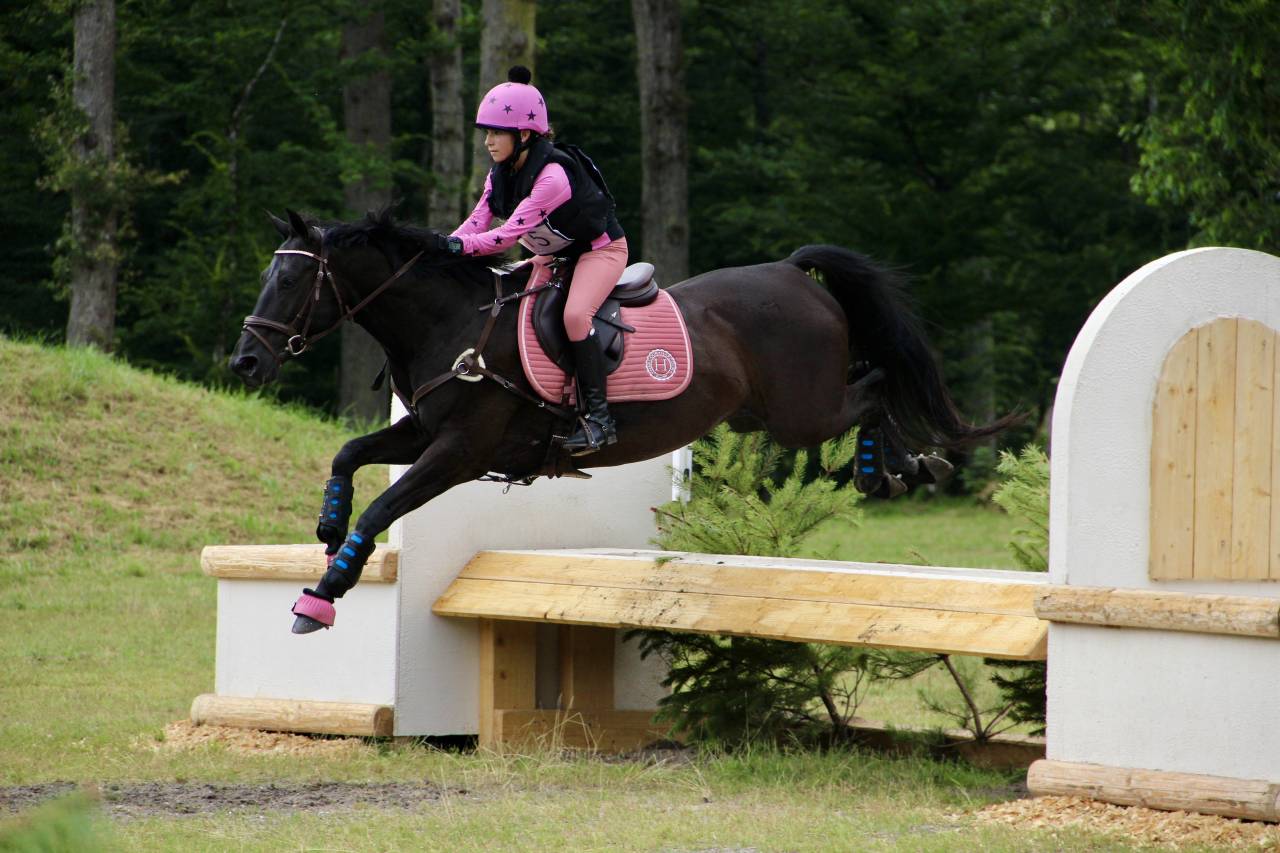 Poney D selle Fran&ccedil;ais 
