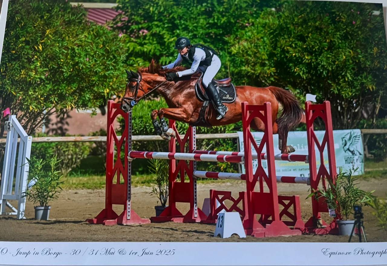 Tr&egrave;s jolie jument CSO