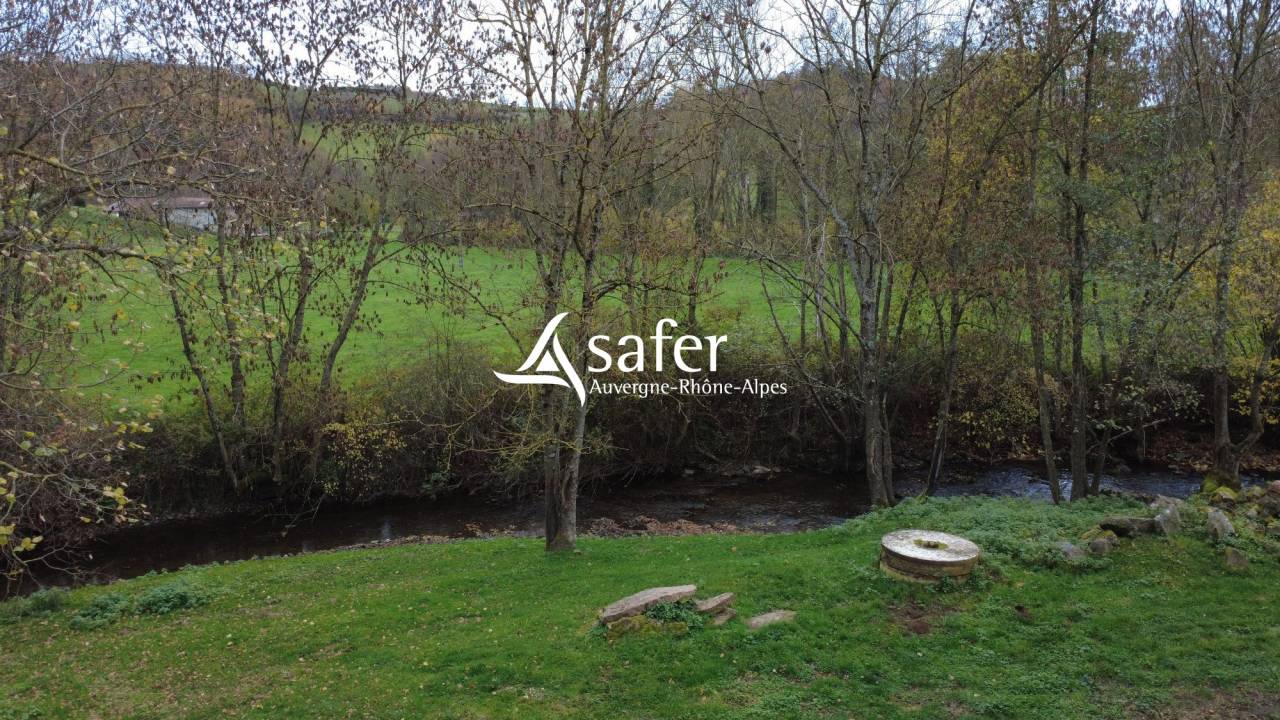 ANCIEN MOULIN RENOVE SECTEUR NATUEL - ST SYMPHORIEN SUR COISE