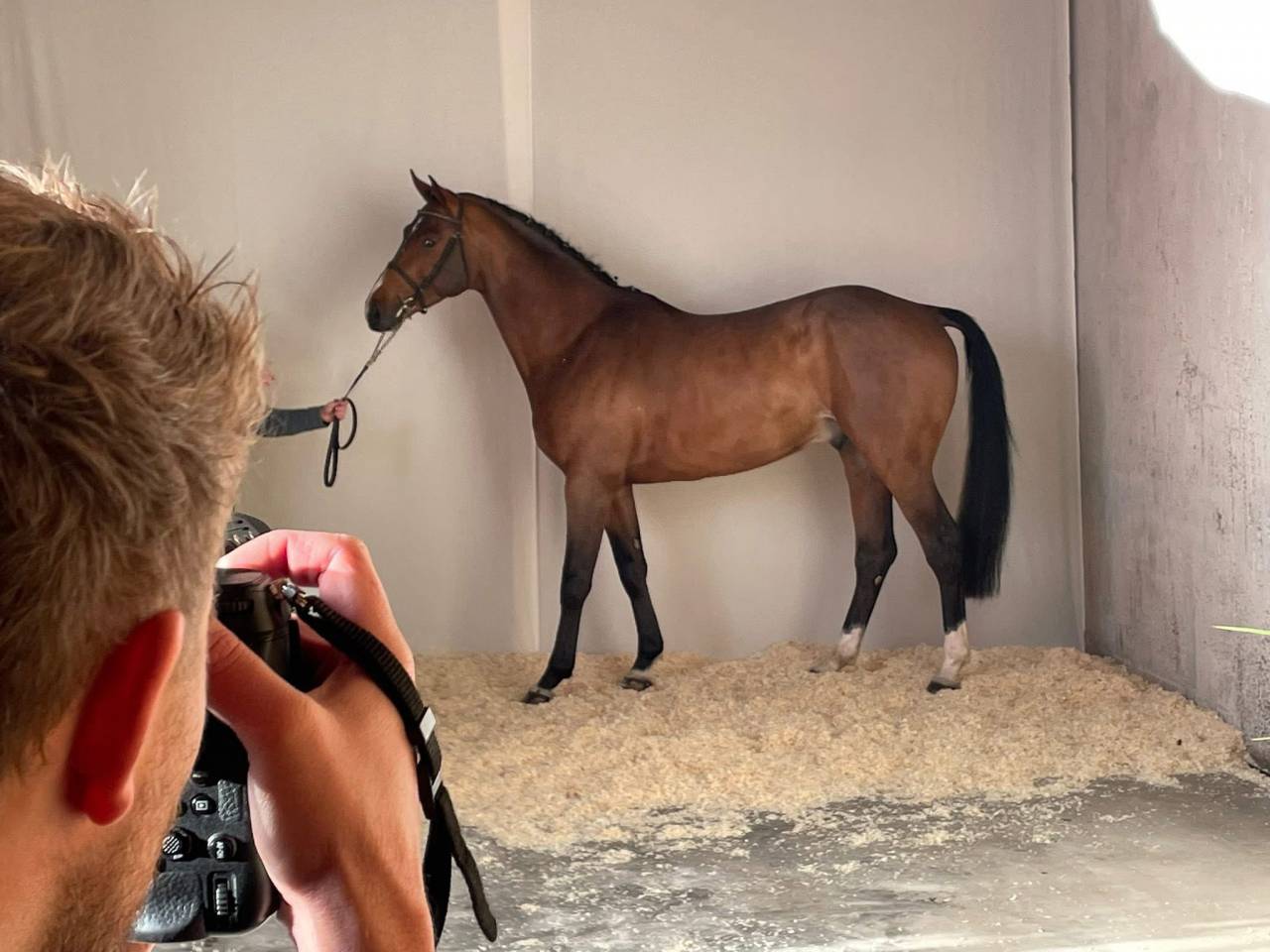 Etalon SF 4 ans par Deutcatsix d'Eglefin