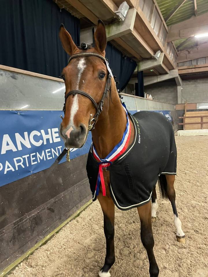 Etalon SF 4 ans par Deutcatsix d'Eglefin