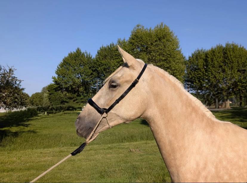 &Agrave; VENDRE &ndash; MARUJO CAM