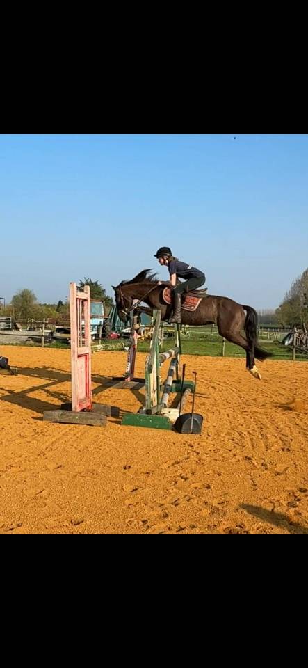 Superbe Lusitanien CSO