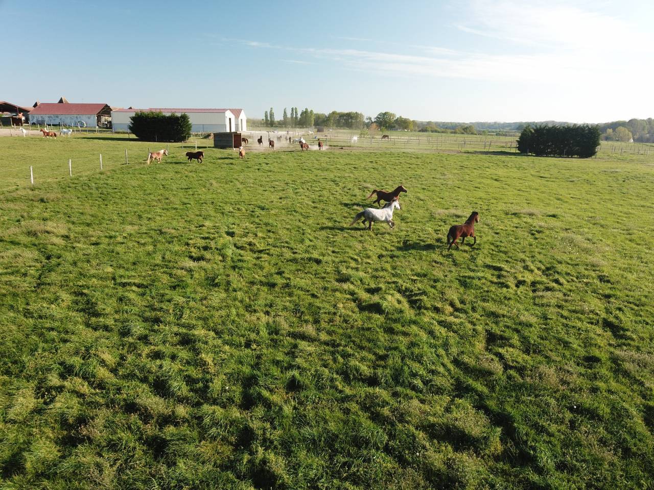 pension chevaux familliale