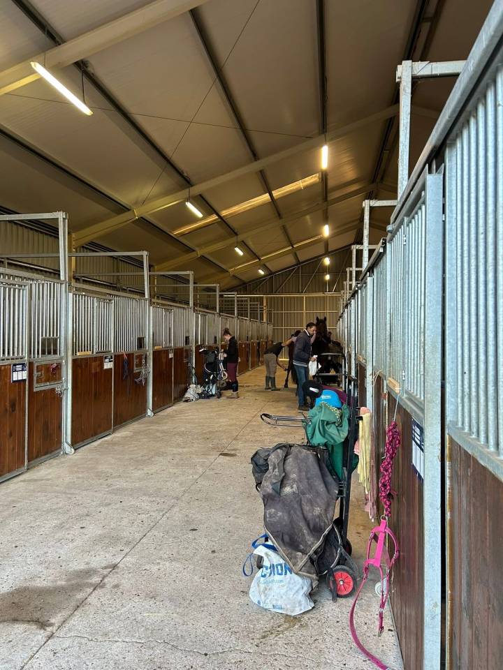 pension chevaux familliale