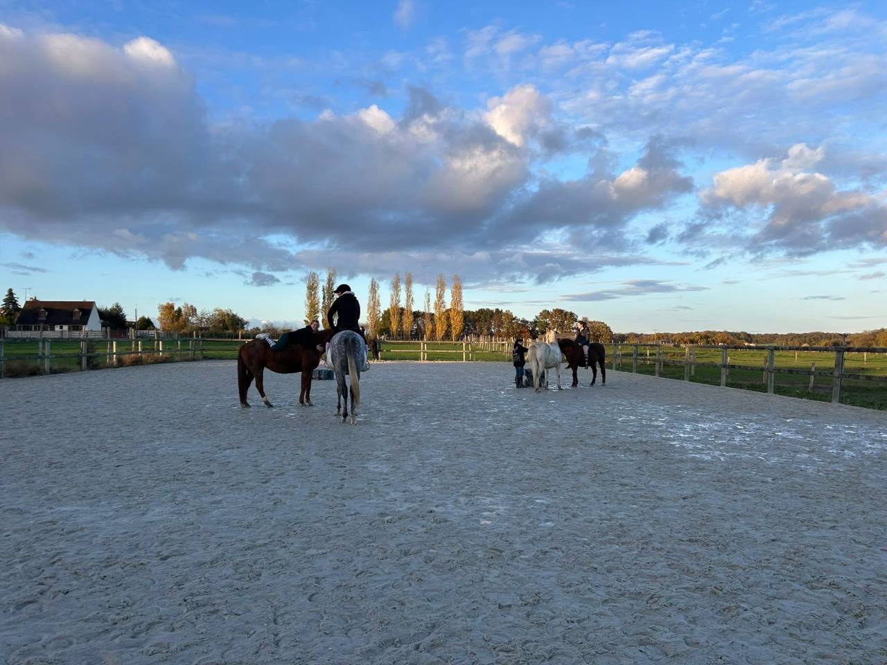 pension chevaux familliale