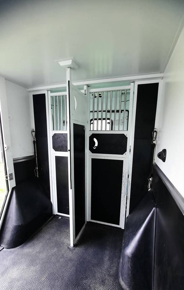 camion RENAULT Master THEAULT - cabine passagers 5 pl.