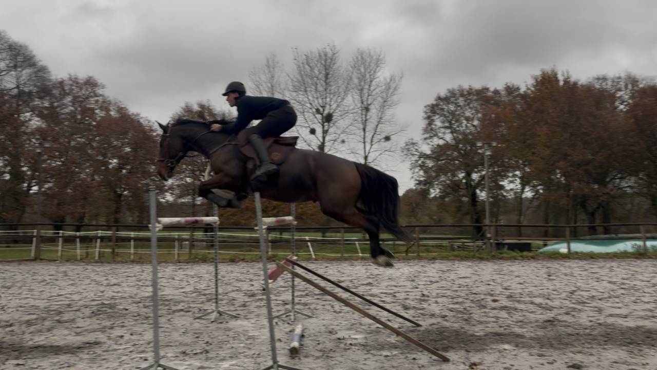 &Agrave; VENDRE &ndash; GRAIN D&rsquo;AMOURDUDESERT