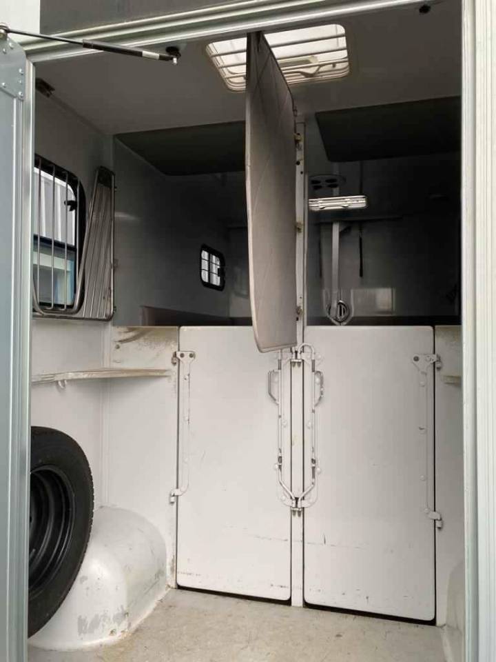 Camion VL Renault Master