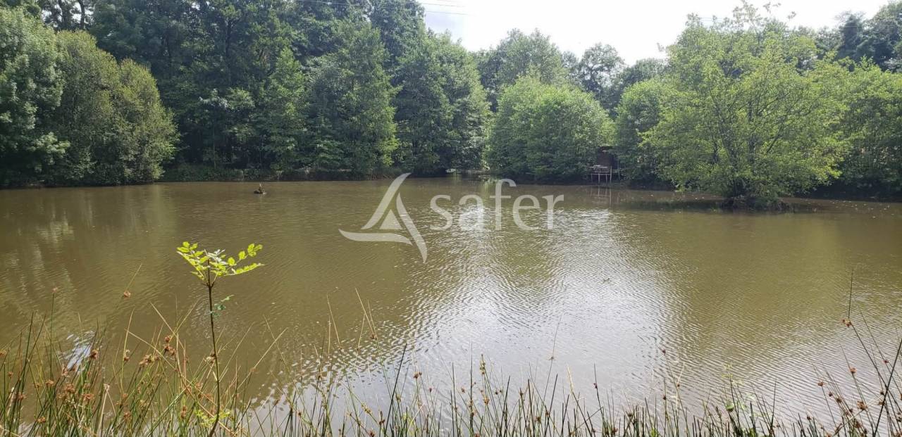 Bien rural &agrave; vocation &eacute;quine