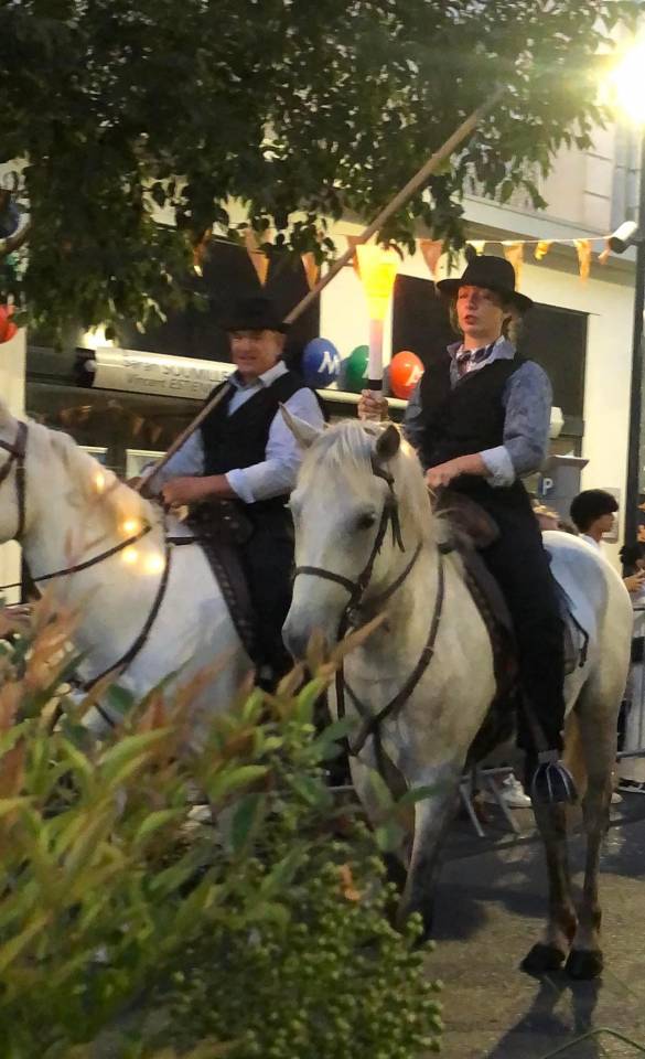 Cheval Hongre Camargue 150 pour loisir exceptionnel 