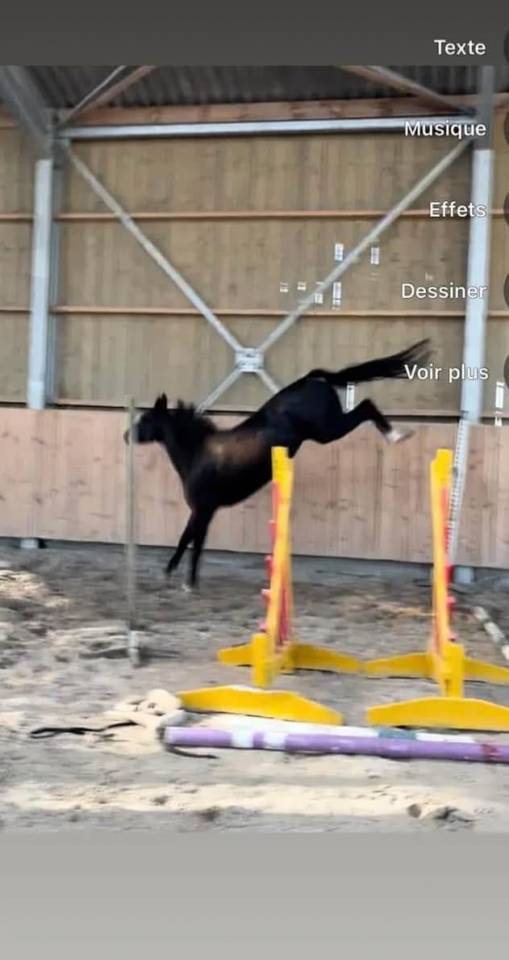 7 ans diamant de semilly