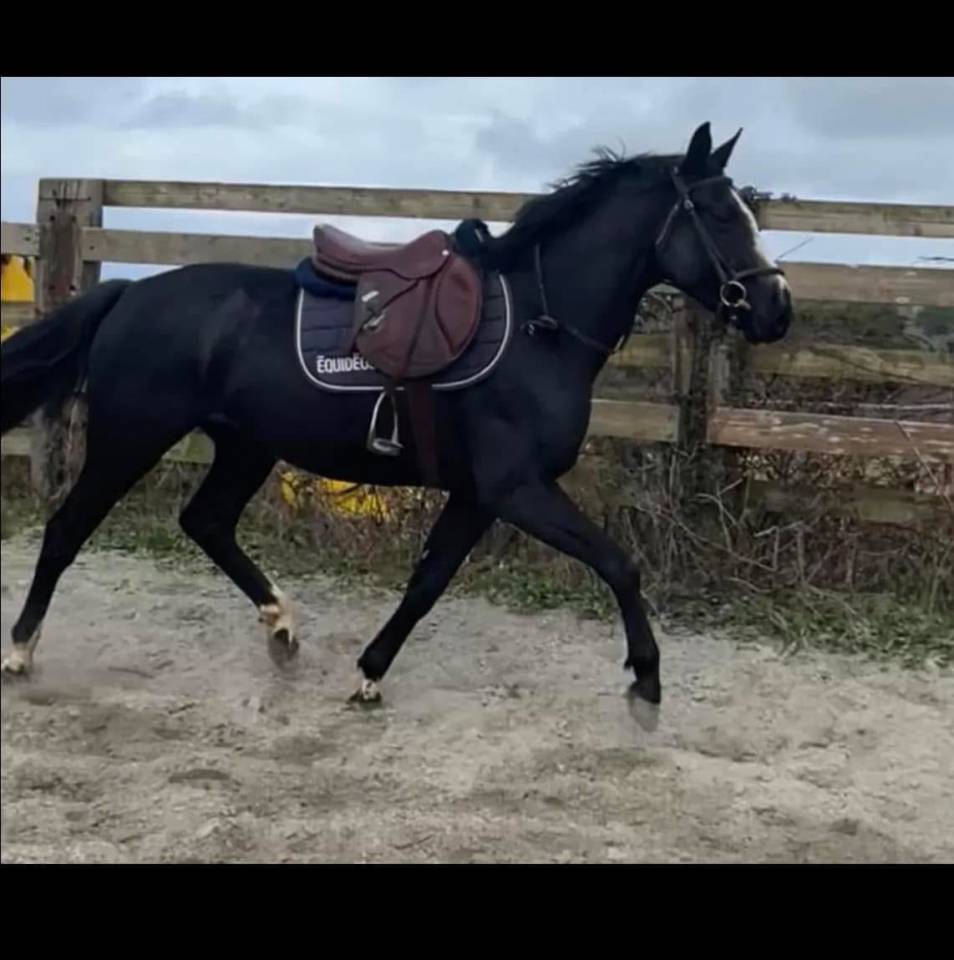 7 ans diamant de semilly