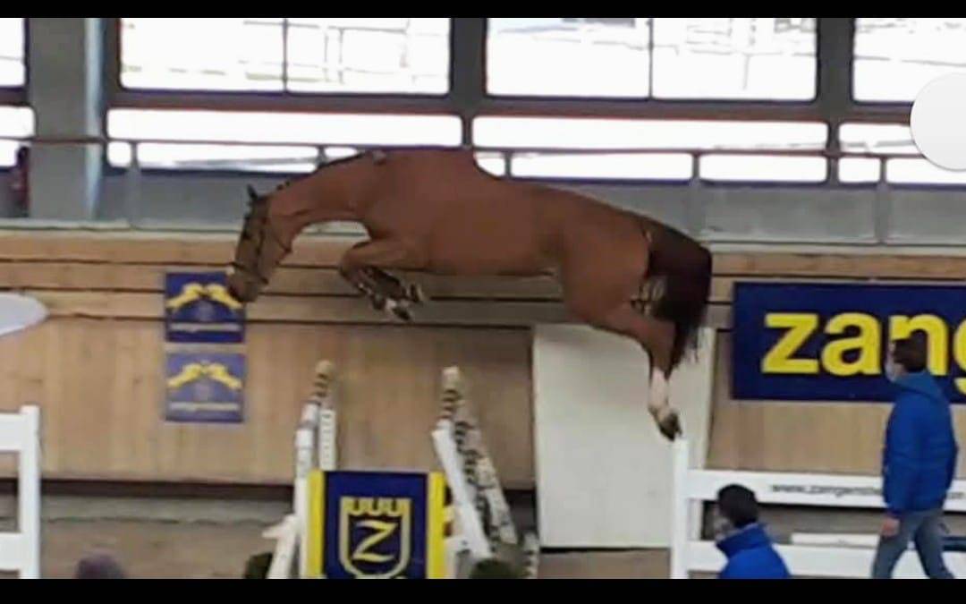 &Eacute;talon approuv&eacute; 