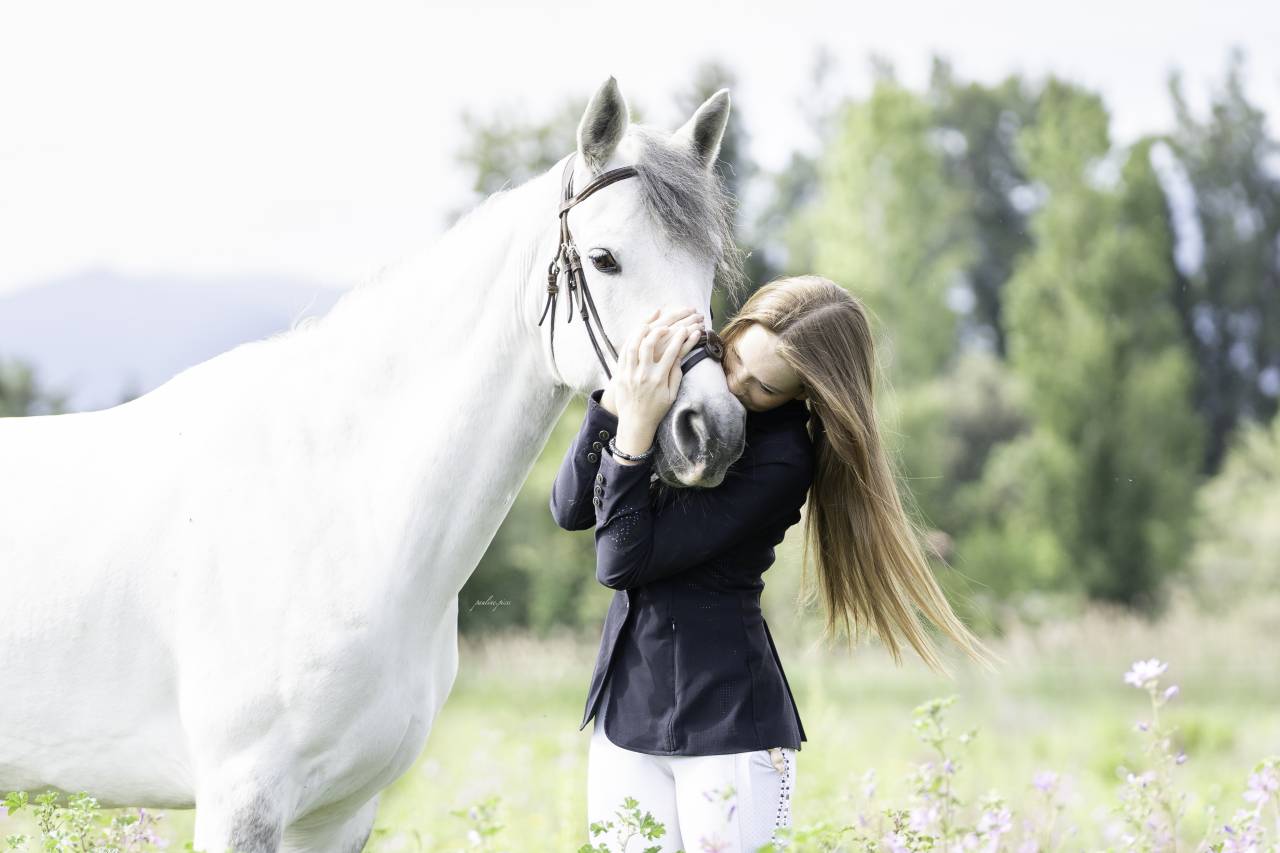 &Agrave; vendre &ndash; Poney Connemara, 8 ans