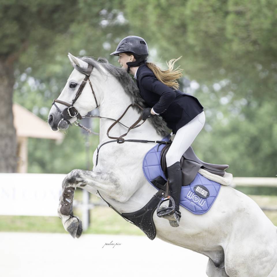 &Agrave; vendre &ndash; Poney Connemara, 8 ans