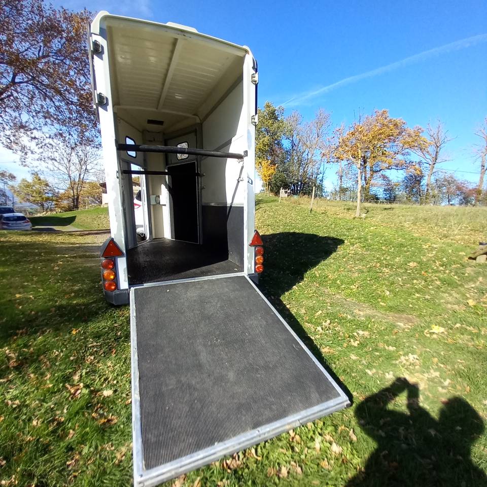 Van 1,5 place IFOR WILLIAMS de 2010 