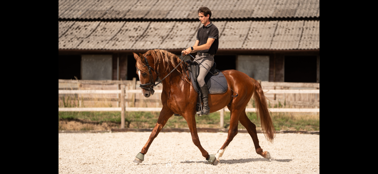 Superbe PR&Eacute; Alzan 