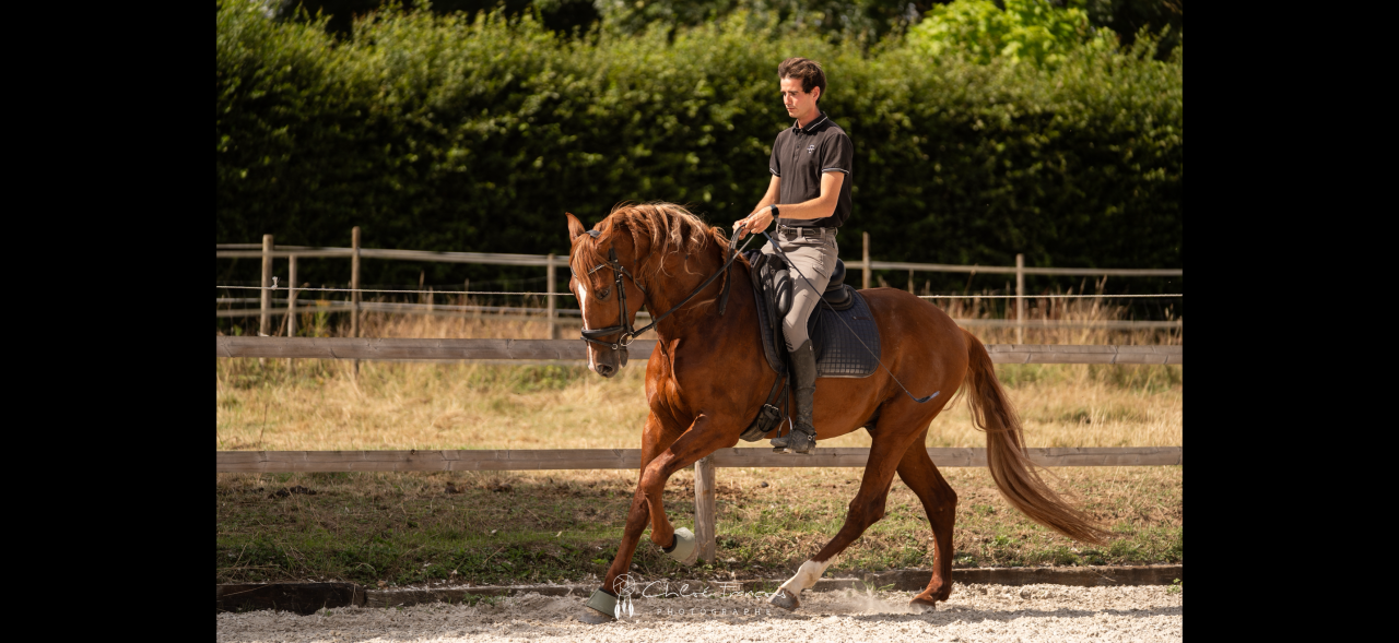 Superbe PR&Eacute; Alzan 