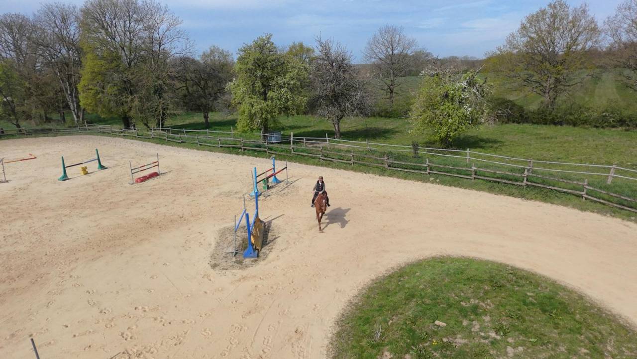 Location boxes vide pour chevaux 