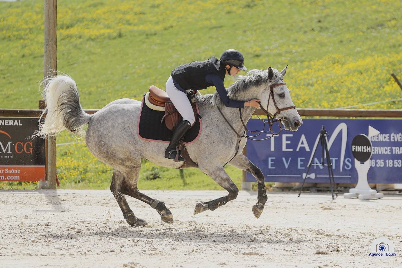 &Agrave; vendre top jument de CSO 