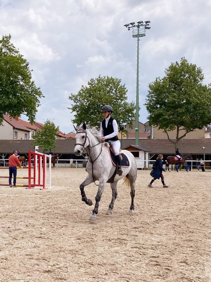 &Agrave; vendre top jument de CSO 