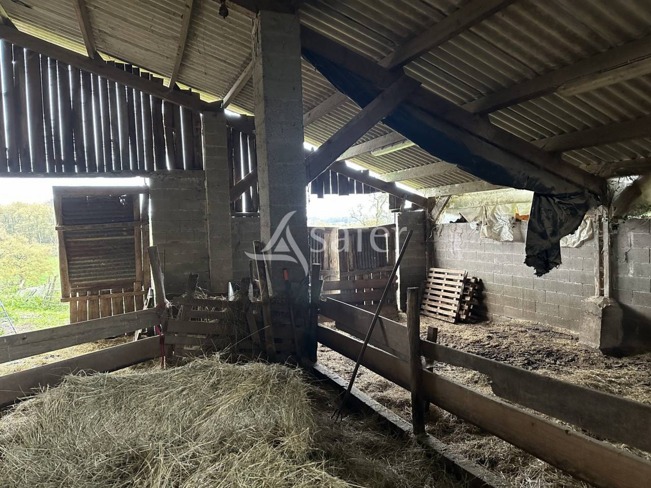 Exploitation Ovin/ Caprin 20 hectares