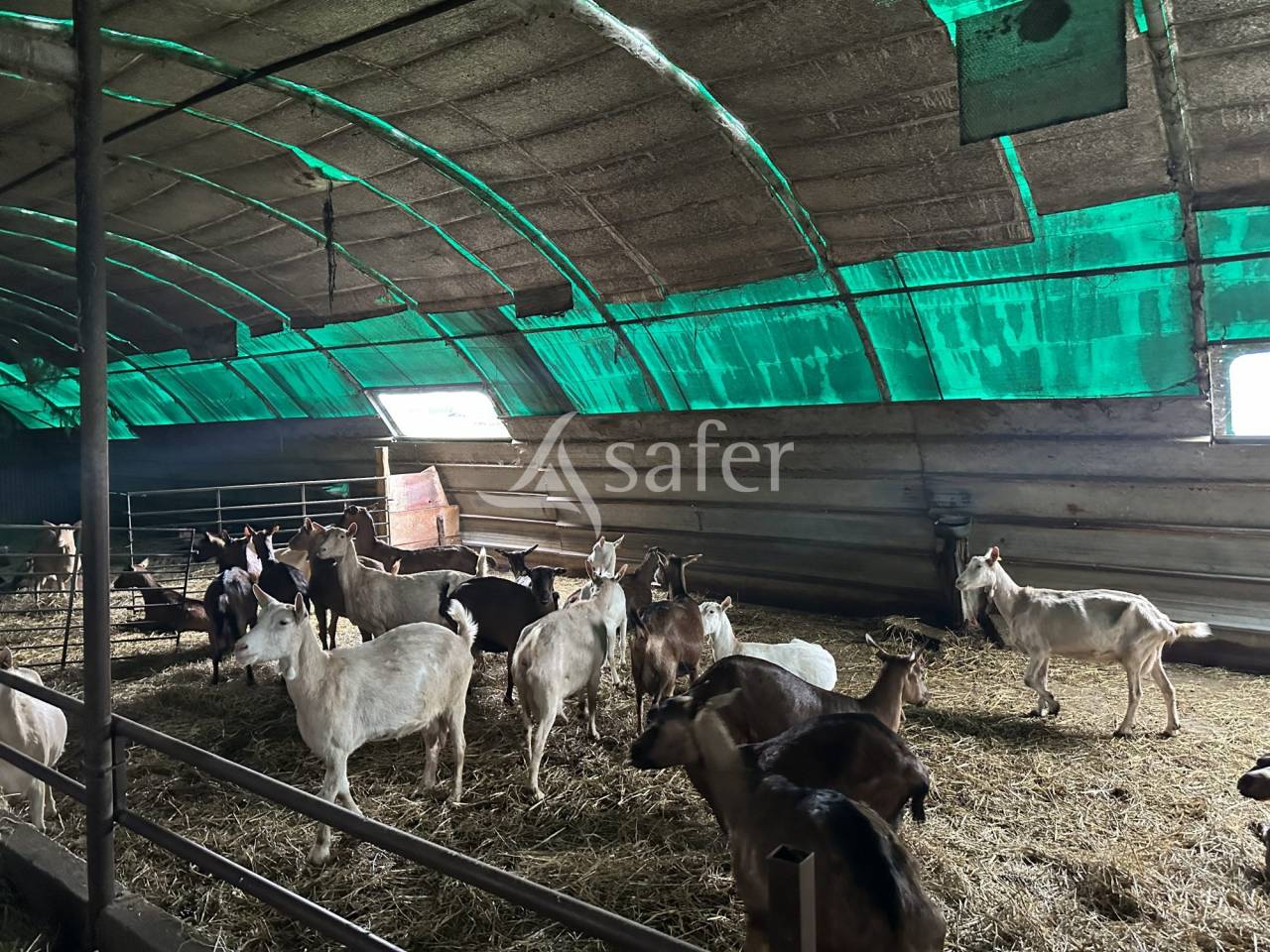 Exploitation Ovin/ Caprin 20 hectares