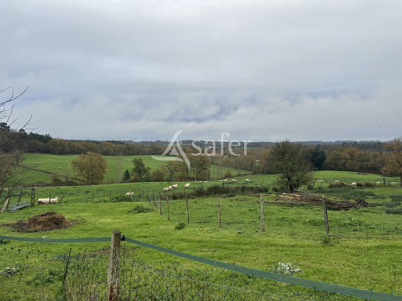 Exploitation Ovin/ Caprin 20 hectares